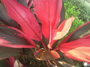 本文章相關圖片