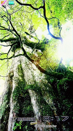 本文章相關圖片