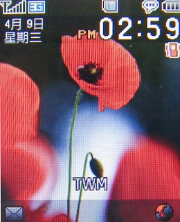 本文章相關圖片