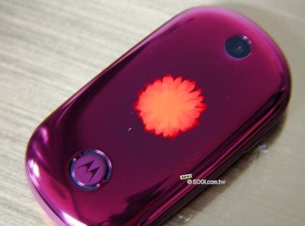 本文章相關圖片