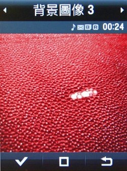 本文章相關圖片