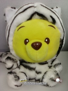 本文章相關圖片