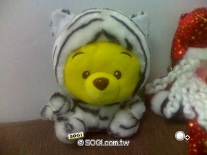 本文章相關圖片