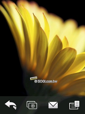 本文章相關圖片