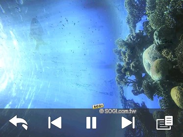 本文章相關圖片