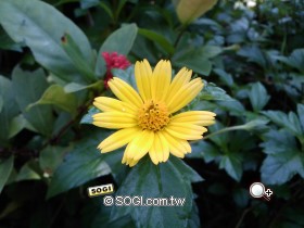 本文章相關圖片