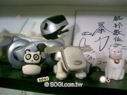 本文章相關圖片