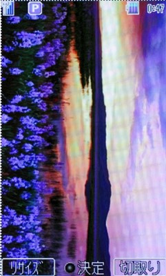 本文章相關圖片