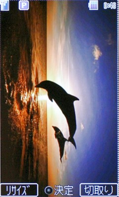 本文章相關圖片