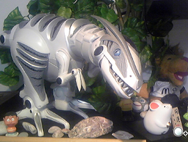 本文章相關圖片