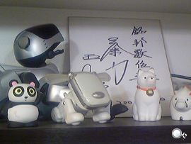 本文章相關圖片