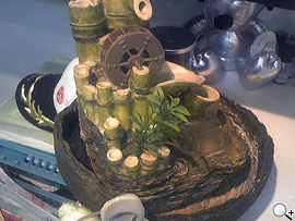 本文章相關圖片