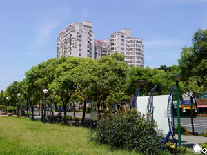 本文章相關圖片