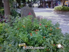 中階 3G 手機出頭天 LG KF310 七千有找 中階 3G 手機出頭天 LG KF310 七千有找