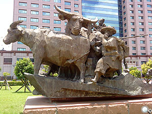 本文章相關圖片