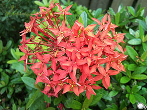 所向披靡!Samsung OMNIA i908 全方位機王 所向披靡!Samsung OMNIA i908 全方位機王