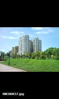 所向披靡!Samsung OMNIA i908 全方位機王 所向披靡!Samsung OMNIA i908 全方位機王