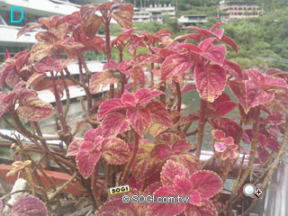 謎底揭曉!五大品牌 500 萬畫素最夯手機圖解 謎底揭曉!五大品牌 500 萬畫素最夯手機圖解