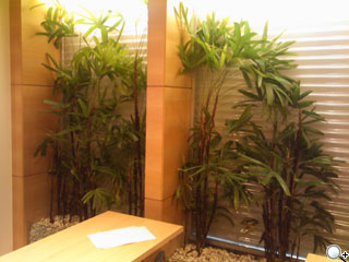 SE X1 旗艦領航英文版 10 月開賣搶先玩 SE X1 旗艦領航英文版 10 月開賣搶先玩