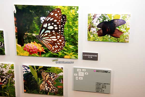 Jocker 手中的法寶!MOTO ZN5 詳盡測試 Jocker 手中的法寶!MOTO ZN5 詳盡測試