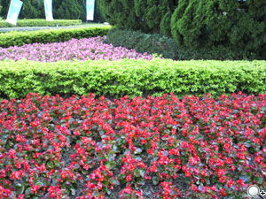 無與倫比!Samsung innov8 i8510 連賽車手也著迷 無與倫比!Samsung innov8 i8510 連賽車手也著迷