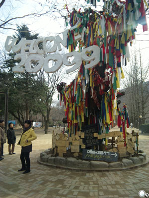 快拍良伴!Sharp WX-T930 海外旅遊實測 快拍良伴!Sharp WX-T930 海外旅遊實測