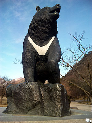 快拍良伴!Sharp WX-T930 海外旅遊實測 快拍良伴!Sharp WX-T930 海外旅遊實測