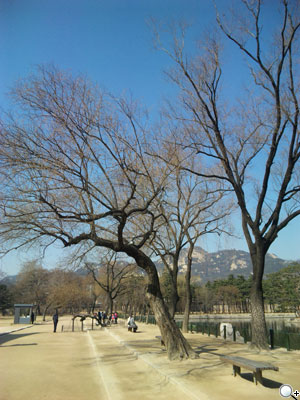 快拍良伴!Sharp WX-T930 海外旅遊實測 快拍良伴!Sharp WX-T930 海外旅遊實測