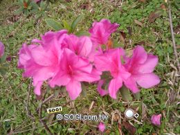 生活化定位應用 HTC Touch Cruise09