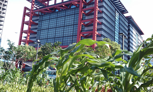 HTC Touch Diamond2 500萬照片實拍分享 HTC Touch Diamond2 500萬照片實拍分享