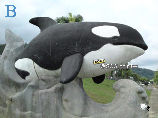 謎底揭曉! 800 萬畫素最夯手機猜謎圖解 謎底揭曉! 800 萬畫素最夯手機猜謎圖解