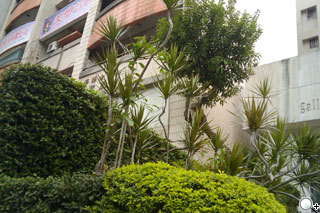 Google 手機登台 HTC Magic 更多功能介紹 Google 手機登台 HTC Magic 更多功能介紹