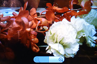 Google 手機登台 HTC Magic 更多功能介紹 Google 手機登台 HTC Magic 更多功能介紹