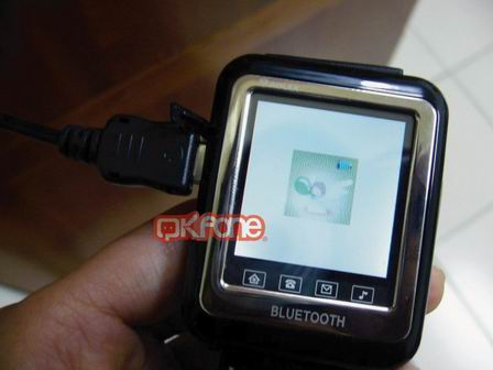 本文章相關圖片