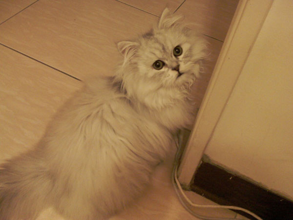 本文章相關圖片