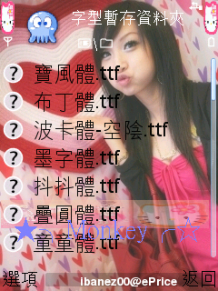 本文章相關圖片