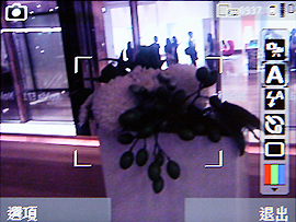 本文章相關圖片