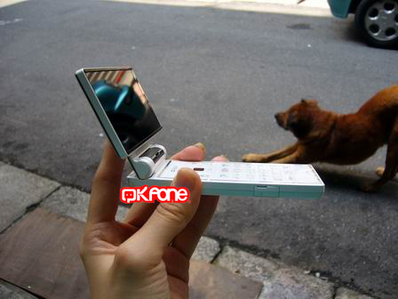 本文章相關圖片