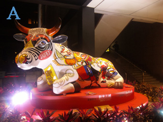 本文章相關圖片