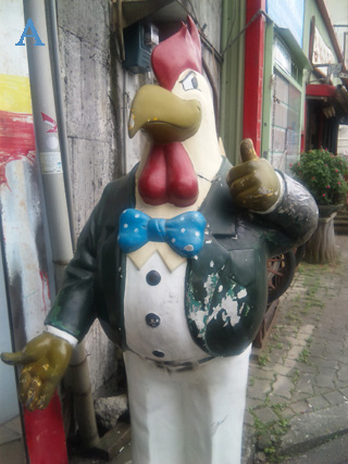 本文章相關圖片