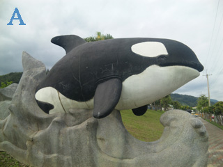 本文章相關圖片