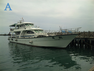 本文章相關圖片