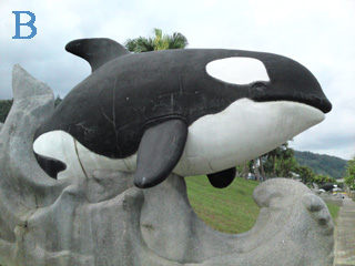 本文章相關圖片