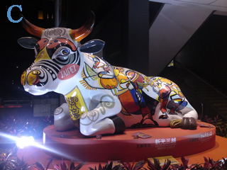 本文章相關圖片