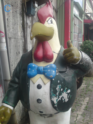 本文章相關圖片