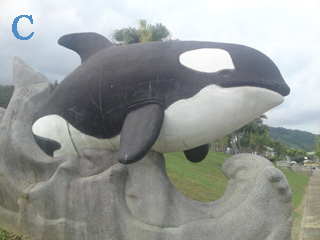 本文章相關圖片