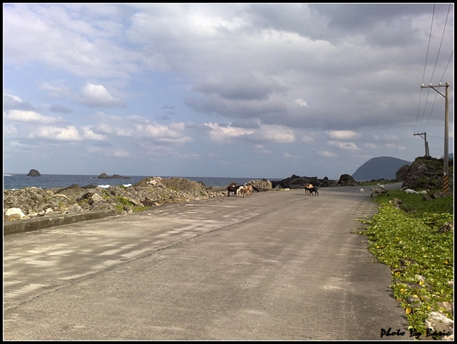 本文章相關圖片