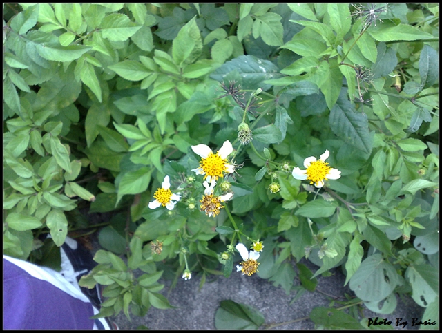 本文章相關圖片