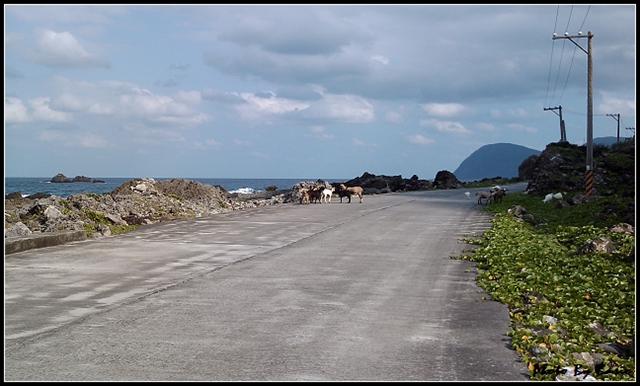 本文章相關圖片