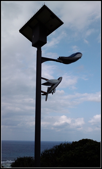 本文章相關圖片